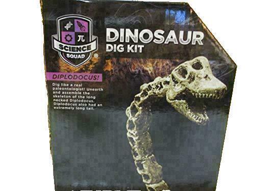 Uknown Dinosaur Diplodocus Dig Kit
