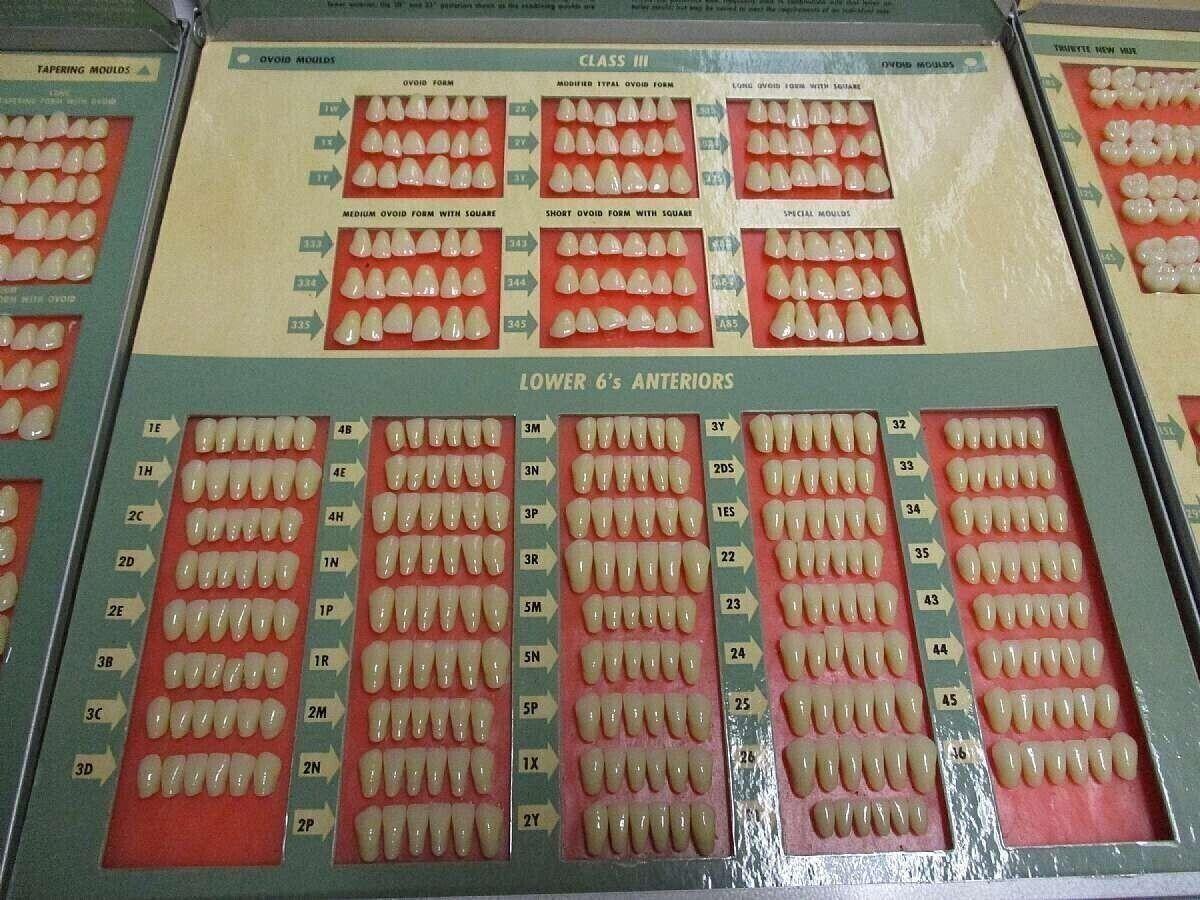 1950's Trubyte New Hue 3 Tray Case Dentist Teeth Mold Sample Guides