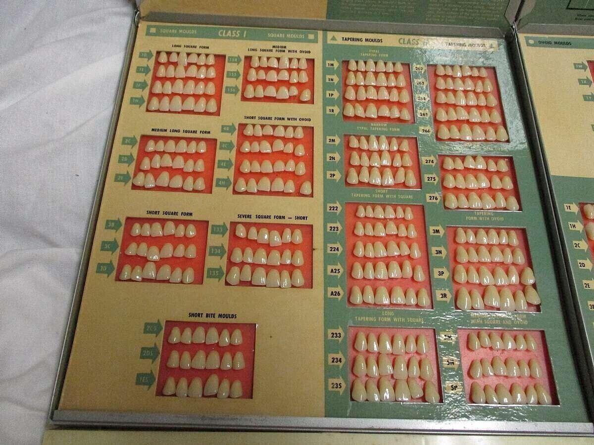 1950's Trubyte New Hue 3 Tray Case Dentist Teeth Mold Sample Guides