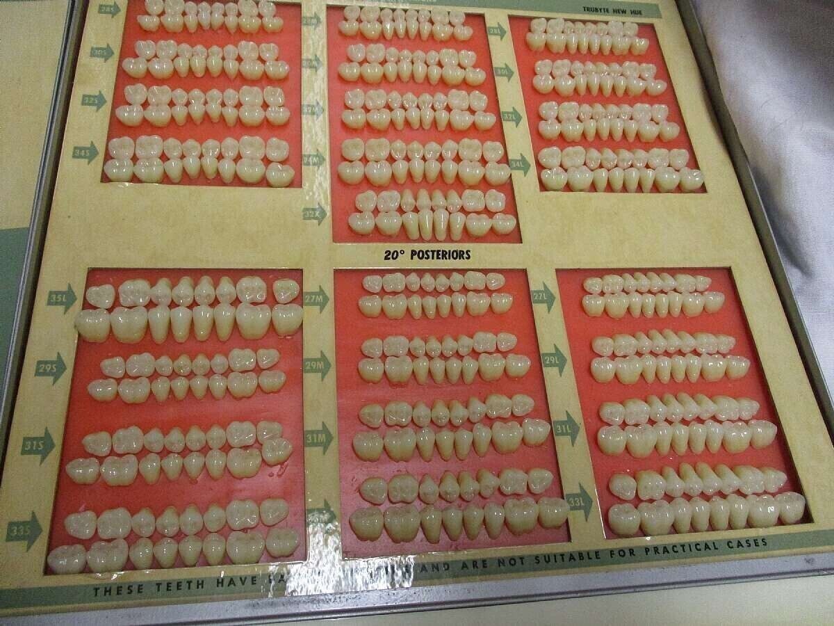 1950's Trubyte New Hue 3 Tray Case Dentist Teeth Mold Sample Guides