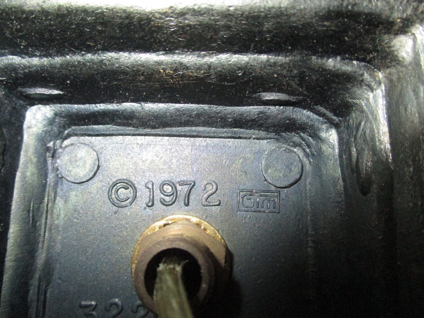 Vintage Brass Glass Globe Terrarium Lamp Accent Lightup White Roses Lantern Rare