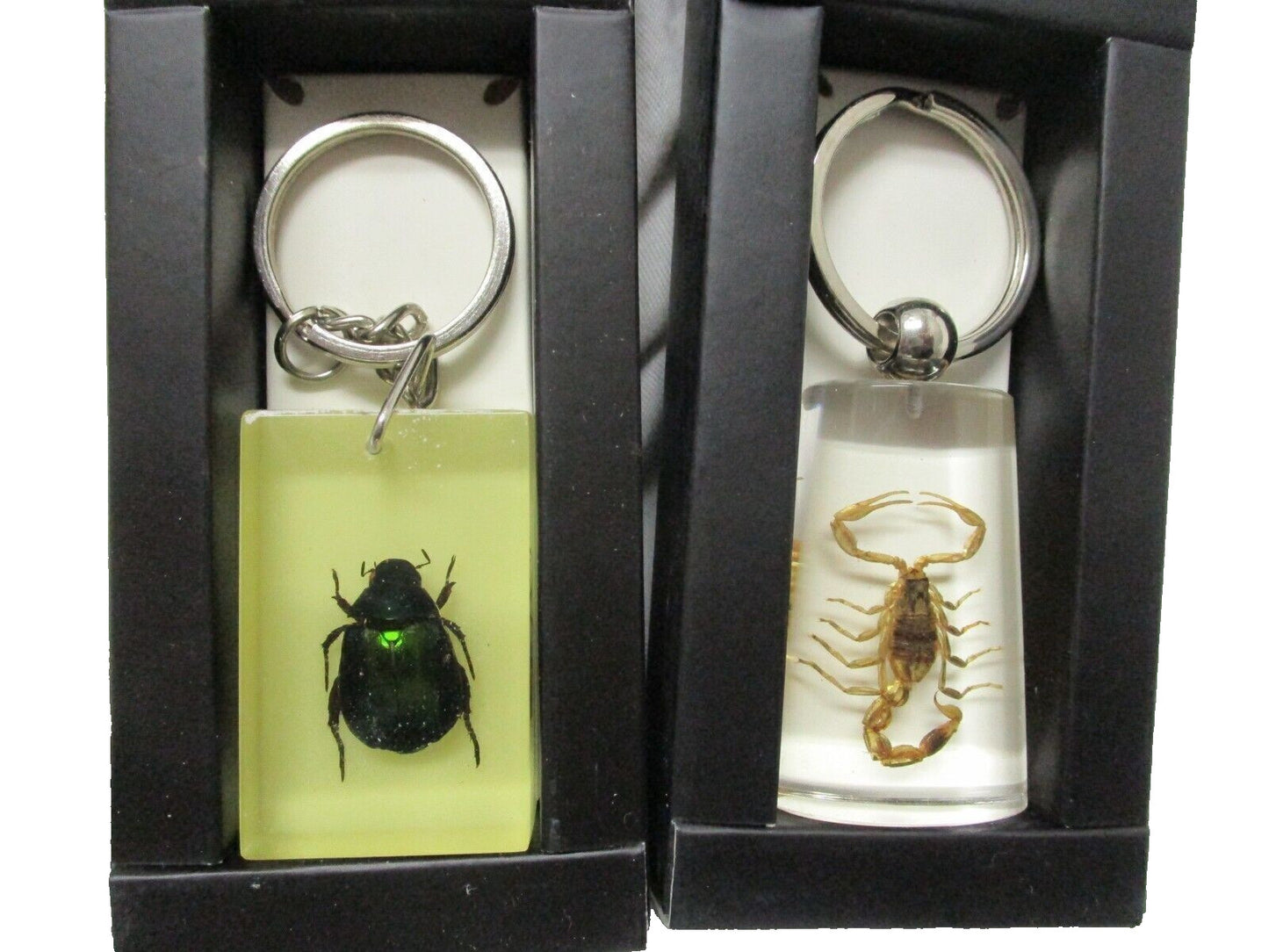 Resin Keychain with Real Bug Specimen Glow in the Dark Key Ring Scorpion/Beetle