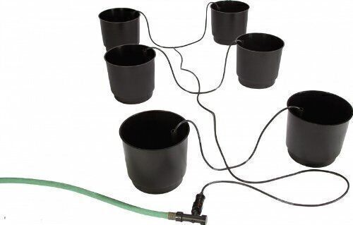 Eco Growing Systems, Eco 6 Pack Growing System