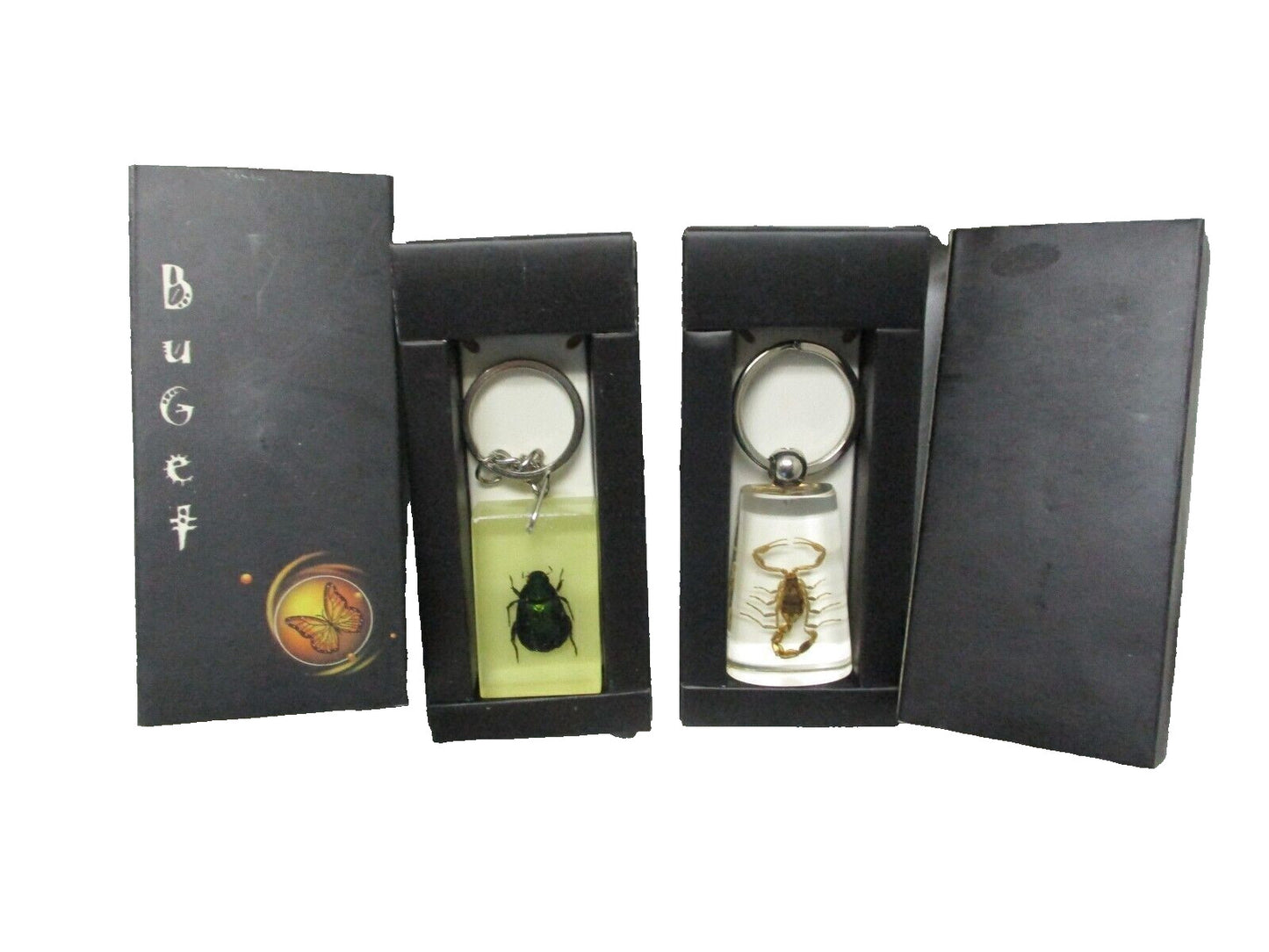 Resin Keychain with Real Bug Specimen Glow in the Dark Key Ring Scorpion/Beetle
