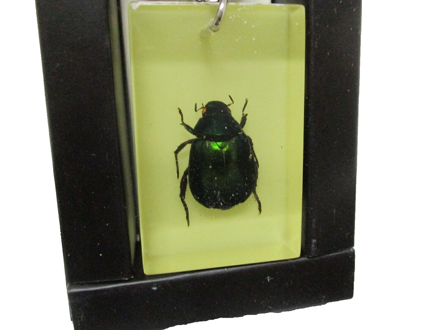 Resin Keychain with Real Bug Specimen Glow in the Dark Key Ring Scorpion/Beetle