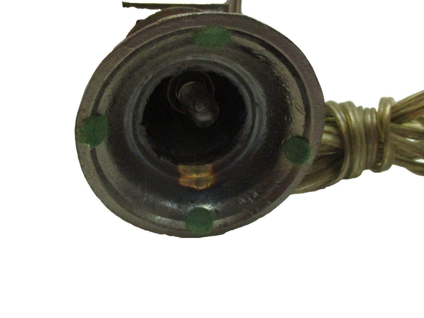 Vintage Brass Glass Globe Terrarium Lamp Accent Lightup White Roses Lantern Rare