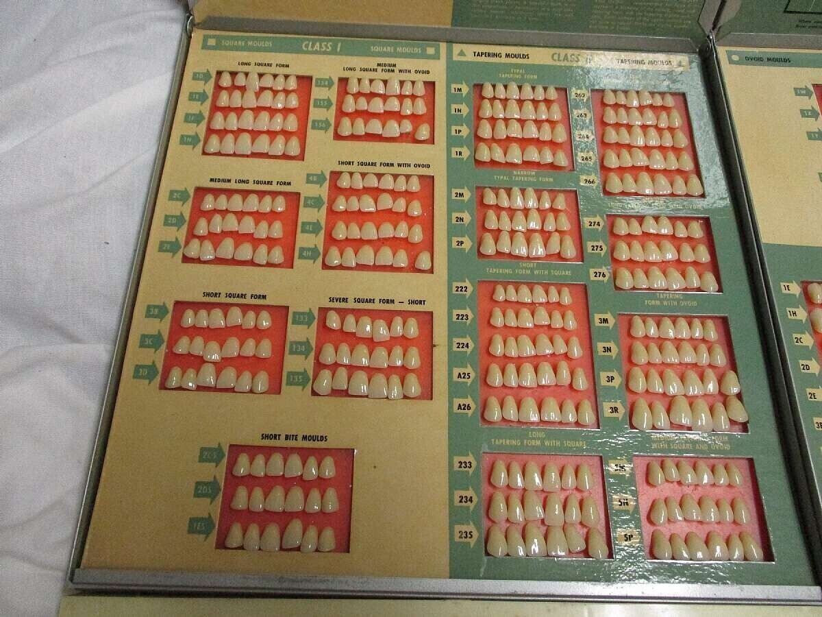 1950's Trubyte New Hue 3 Tray Case Dentist Teeth Mold Sample Guides